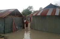 ধরলার-পানি-বিপদসীমার -ওপরে-শহর-রক্ষা-বাঁধে-ধস