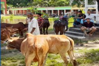 অনুমোদনহীন-কোনো-হাট-বসলেই-কঠোর-ব্যবস্থা