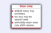 বাদ-পড়তে-পারে-অনেক -প্রকল্প-:-মেগায়-কাটছাঁট