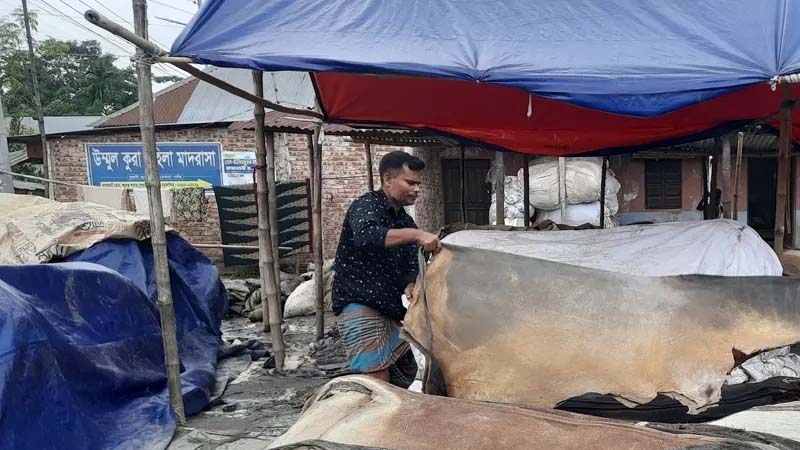 সরকারের বেঁধে দেয়া দাম মানেনি কেউ, ক্ষতির মুখে মৌসুমি ও ছোট চামড়া ব্যবসায়ীরা