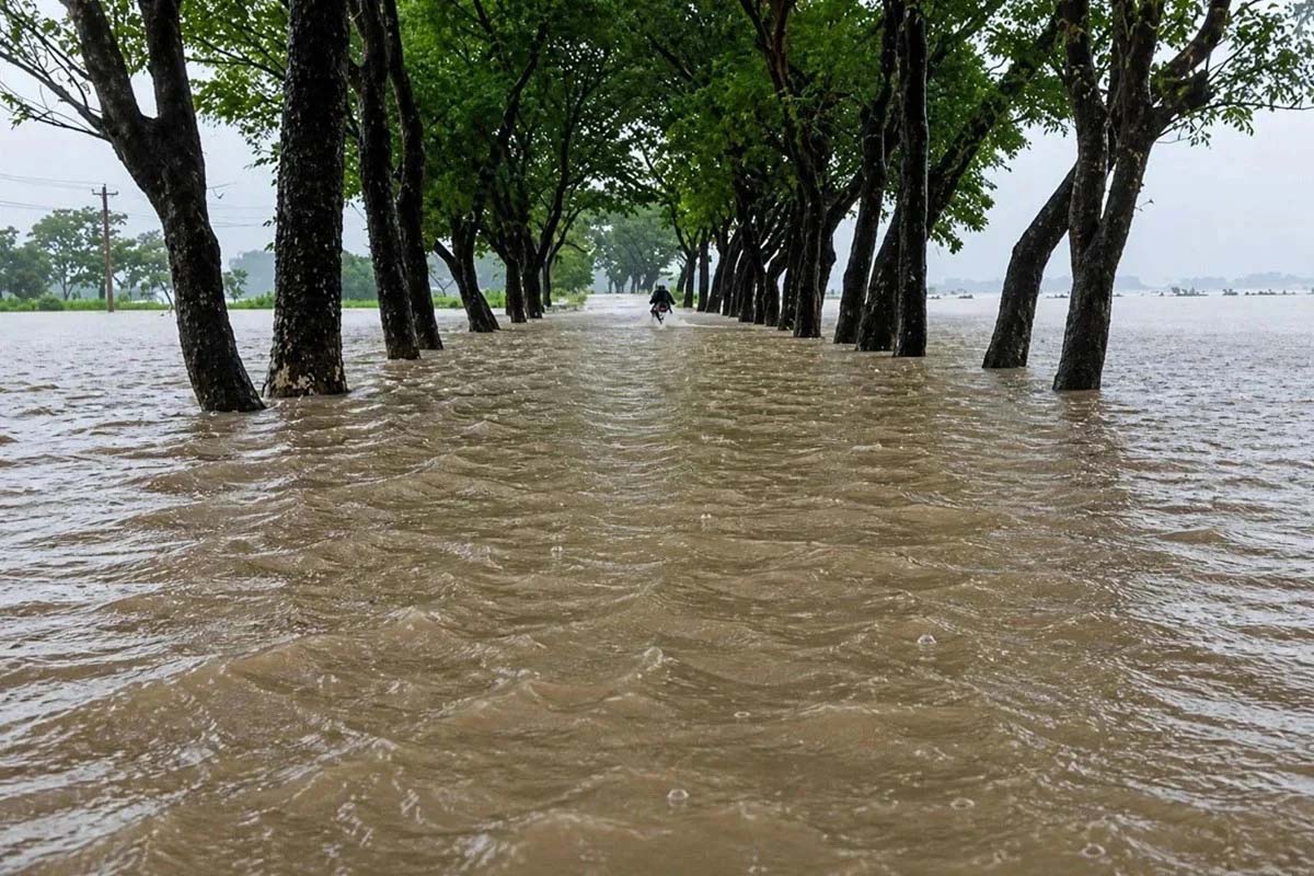 উত্তর-পূর্বাঞ্চলে বৃষ্টিপাত বেড়ে ফের বন্যা পরিস্থিতি অবনতির শঙ্কা
