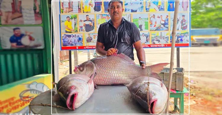 গোয়াল‌ন্দের দৌলত‌দিয়ায় সোয়া লাখে বি‌ক্রি হলো ৩ কাত‌ল