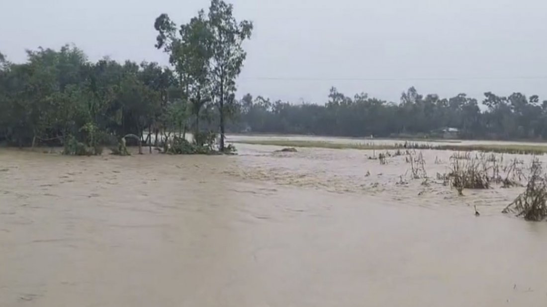 ভারী বৃষ্টি ও পাহাড়ি ঢলে ফসলের ব্যাপক ক্ষয়ক্ষতি