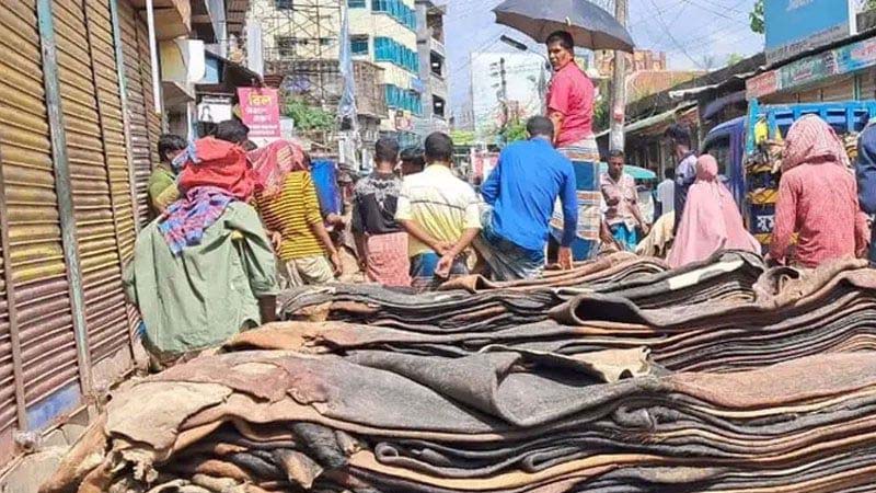 কোরবানির পশুর চামড়া ব্যবস্থাপনা ও জাতীয় সম্পদ রক্ষা