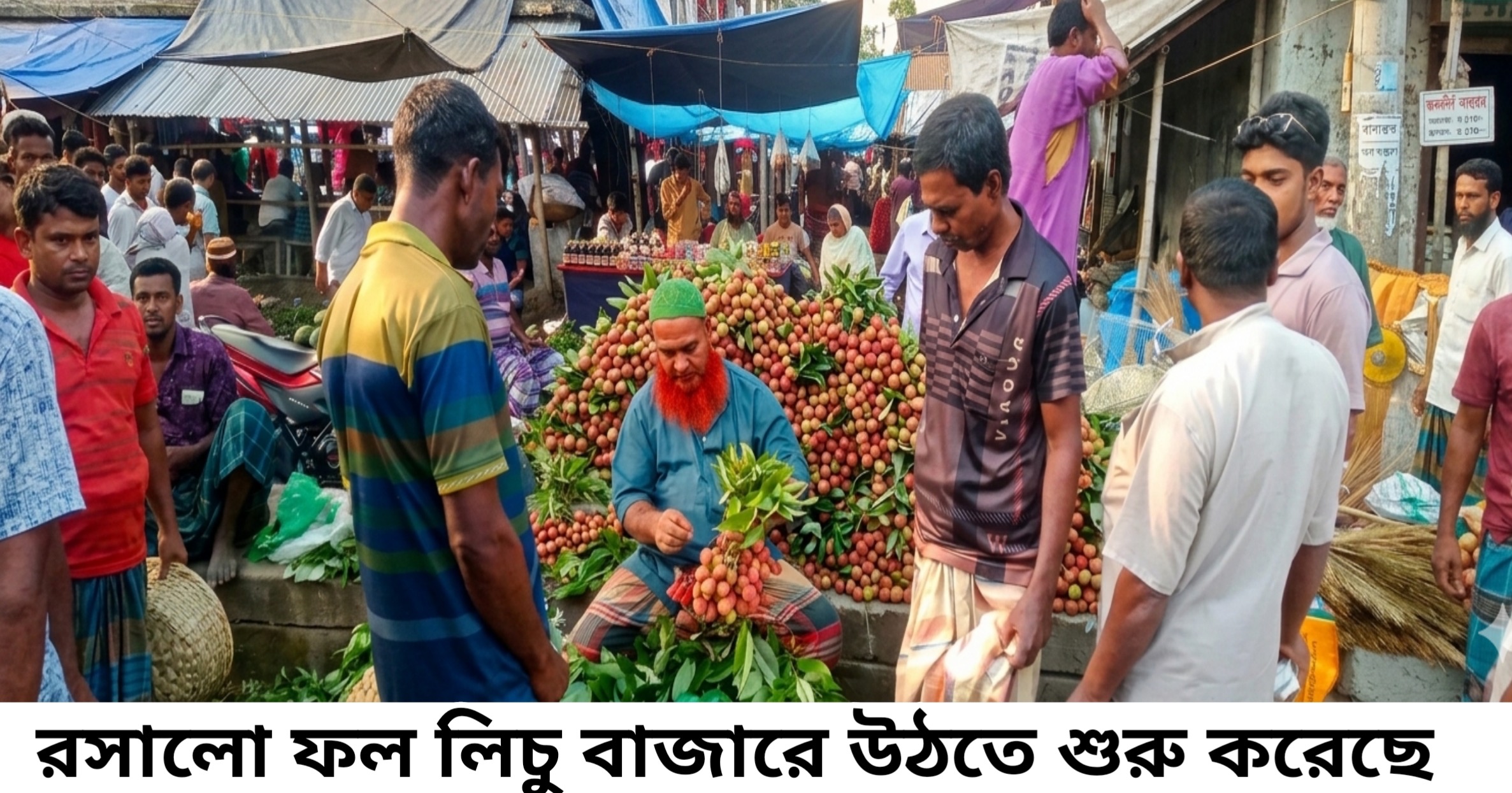 রাণীনগরের বাজারে উঠতে শুরু করেছে লিচু, ক্রেতাদের উপচে পড়া ভিড়