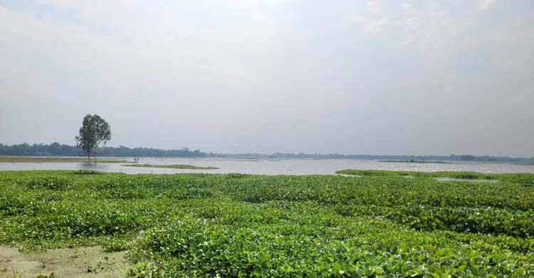 শেরপুরে কমতে শুরু করেছে পাহাড়ি নদীর পানি