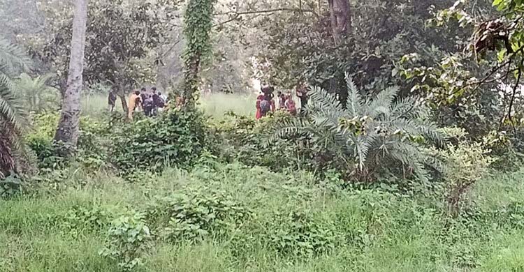 চাঁপাইনবাবগঞ্জের গোমস্তাপুর সীমান্তে ২৮ জনকে পুশইন করলো বিএসএফ