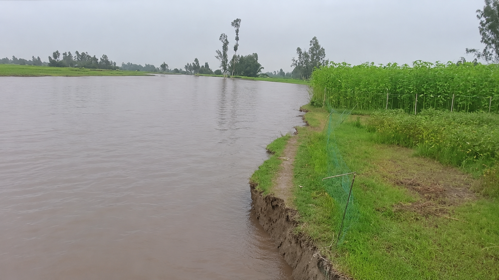 তিস্তা নদীর ভাঙনে সুন্দরগঞ্জে আতঙ্ক,স্থায়ী সমাধানের দাবি