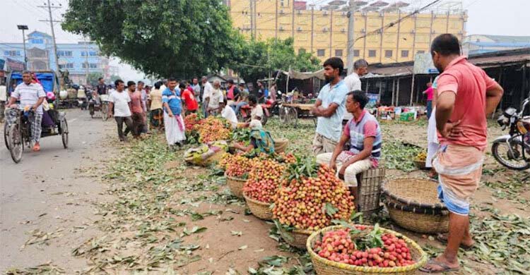ঈশ্বরদীতে জমজমাট লিচুর বাজার, খুশি চাষিরা