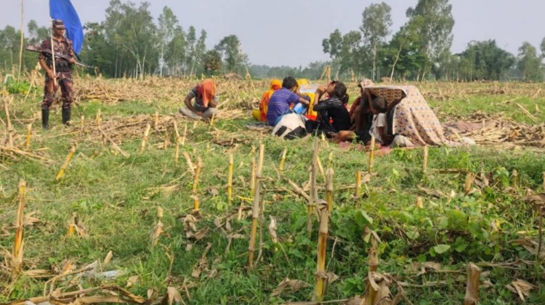 ঠাকুরগাঁও সীমান্তে ঠেলে পাঠানো ১১ জনকে ফিরিয়ে নিয়েছে বিএসএফ