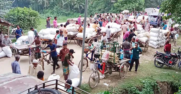 যশোরের শার্শায় মুখীকচুর হাটে প্রতিদিন লাখ টাকার বেচাকেনা