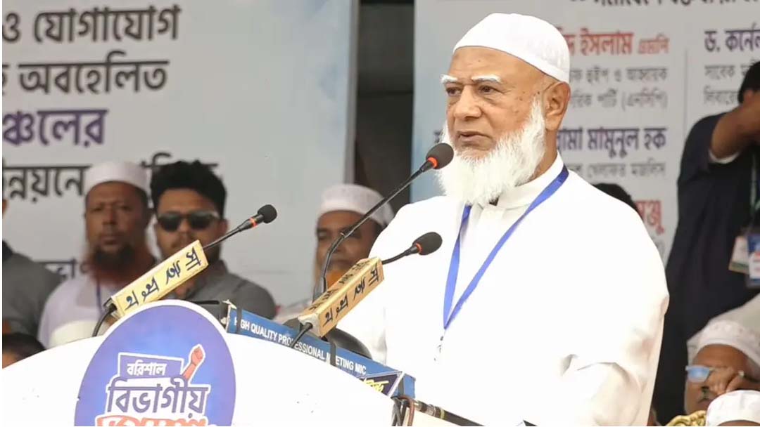 গণভোট ব্যর্থ হলে এই সরকারকেও ব্যর্থ করে দেয়া হবে
