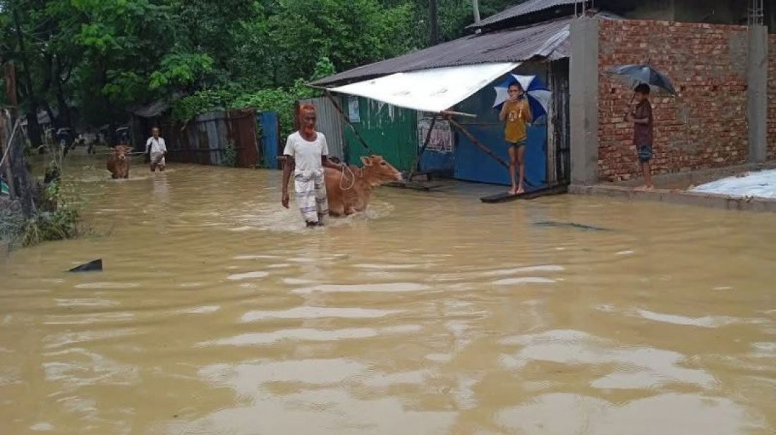 বন্যায় চট্টগ্রাম বিভাগের পাঁচ জেলায় প্রাণিসম্পদ খাতে ব্যাপক ক্ষয়ক্ষতি