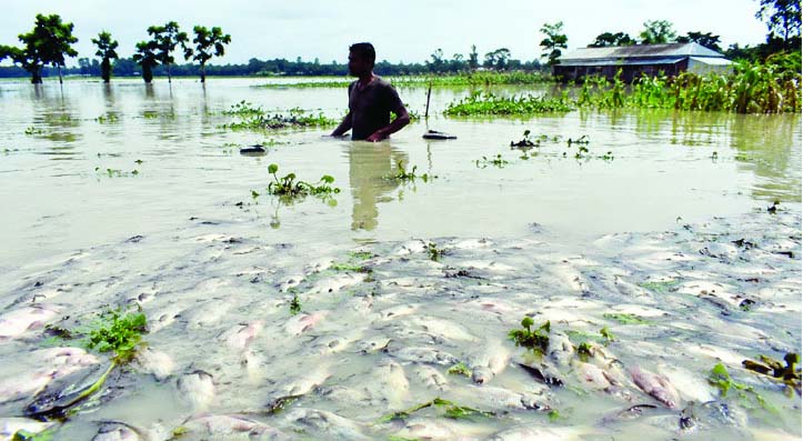 চট্টগ্রামে বন্যায় ক্ষতি ১৫০ কোটি