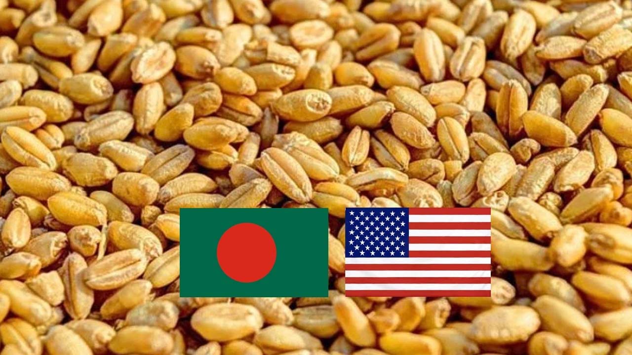 বেশি দামে যুক্তরাষ্ট্র থেকে গম কিনবে সরকার