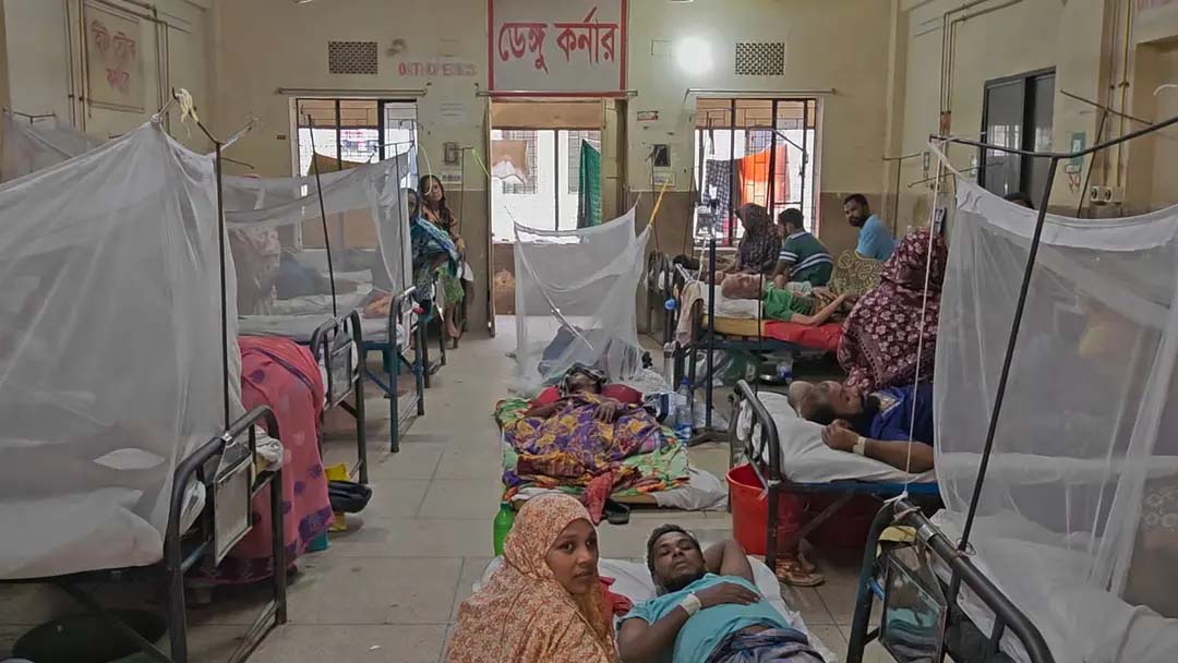 ডেঙ্গু আক্রান্তে বরিশাল বিভাগে শীর্ষে পিরোজপুর