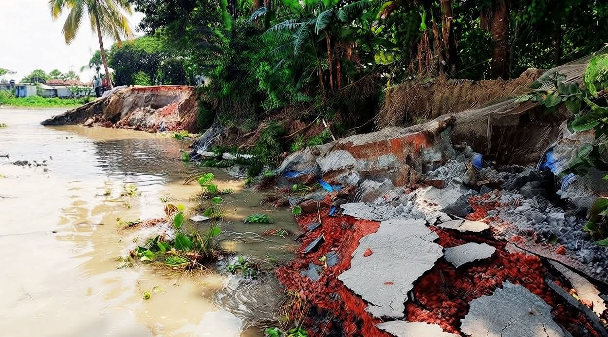 দশমিনায় লঘুচাপের প্রভাবে ফের নদীর ভাঙন বিলীন হচ্ছে জনপদ,কয়েকটি স্থানে বাঁধে ধস