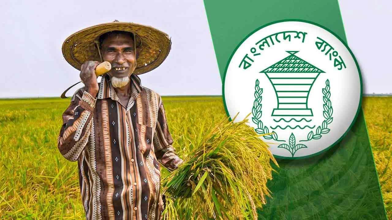 কৃষি ঋণ বিতরণ বাড়লেও আদায়ে বড় ধরনের ধাক্কা খাচ্ছে ব্যাংকিং খাত