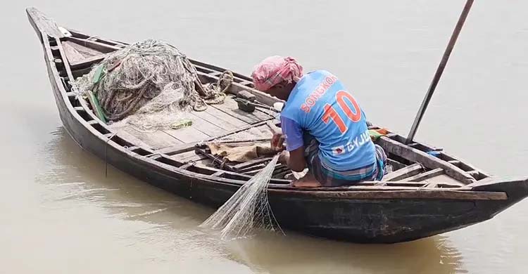 কাঙ্ক্ষিত ইলিশের দেখা মিলছে না পিরোজপুরের নদীগুলোতে