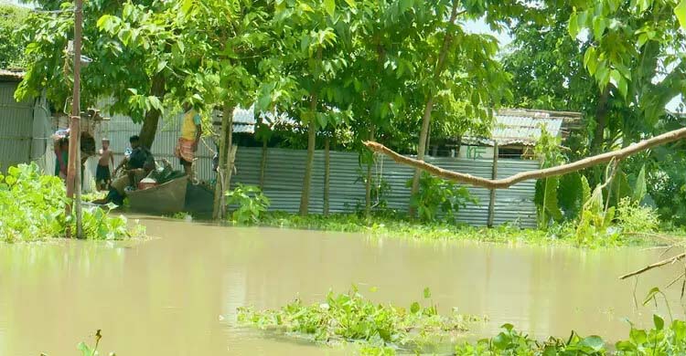 রাজশাহীতে বিপৎসীমা ছুঁই ছুঁই করছে পদ্মা, চরাঞ্চল প্লাবিত