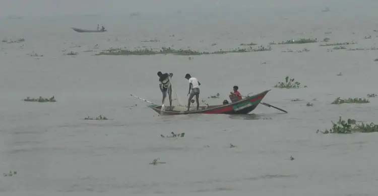 ভোলার মেঘনা ও তেতুলিয়া নদী ইলিশ শিকারের মহোৎসব