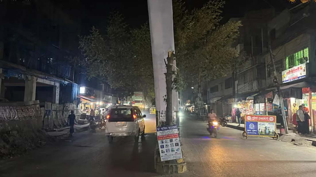 চাঁপাইনবাবগঞ্জে তোরণ নির্মাণের জন্য ডাল কর্তন করায় সমালোচনা